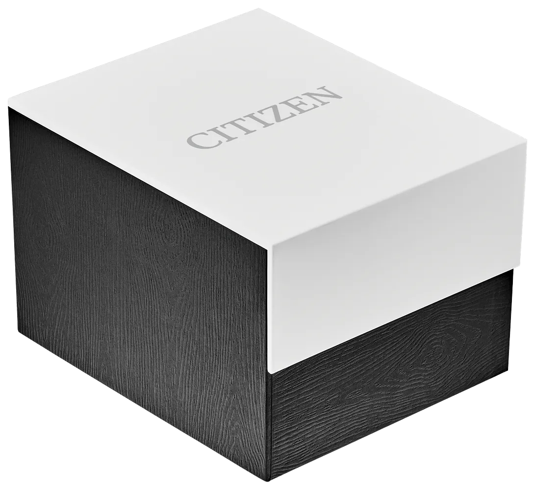 CITIZEN Quartz Gold Tone Men Watch BI1032-58L
