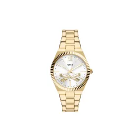 Fossil Scarlette Three-Hand Gold-Tone Stainless Steel Watch