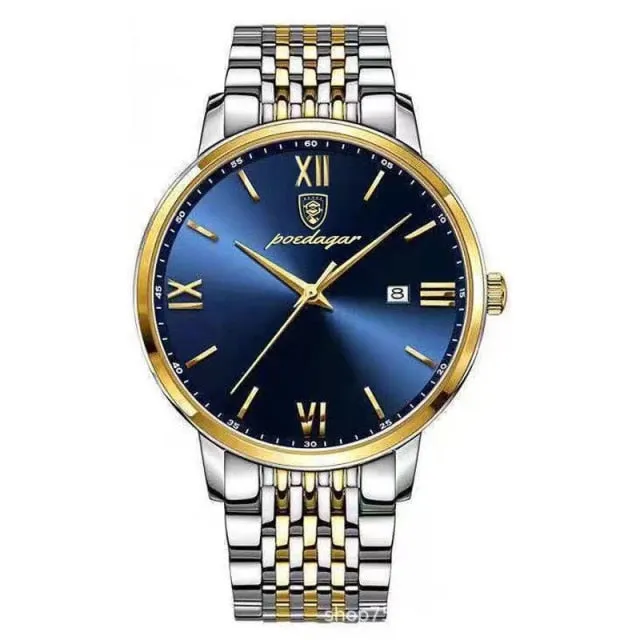 Men`s Luminous Waterproof Watch Quartz Business Wristwatch