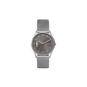 Skagen Holst Steel Mesh Day Date Watch