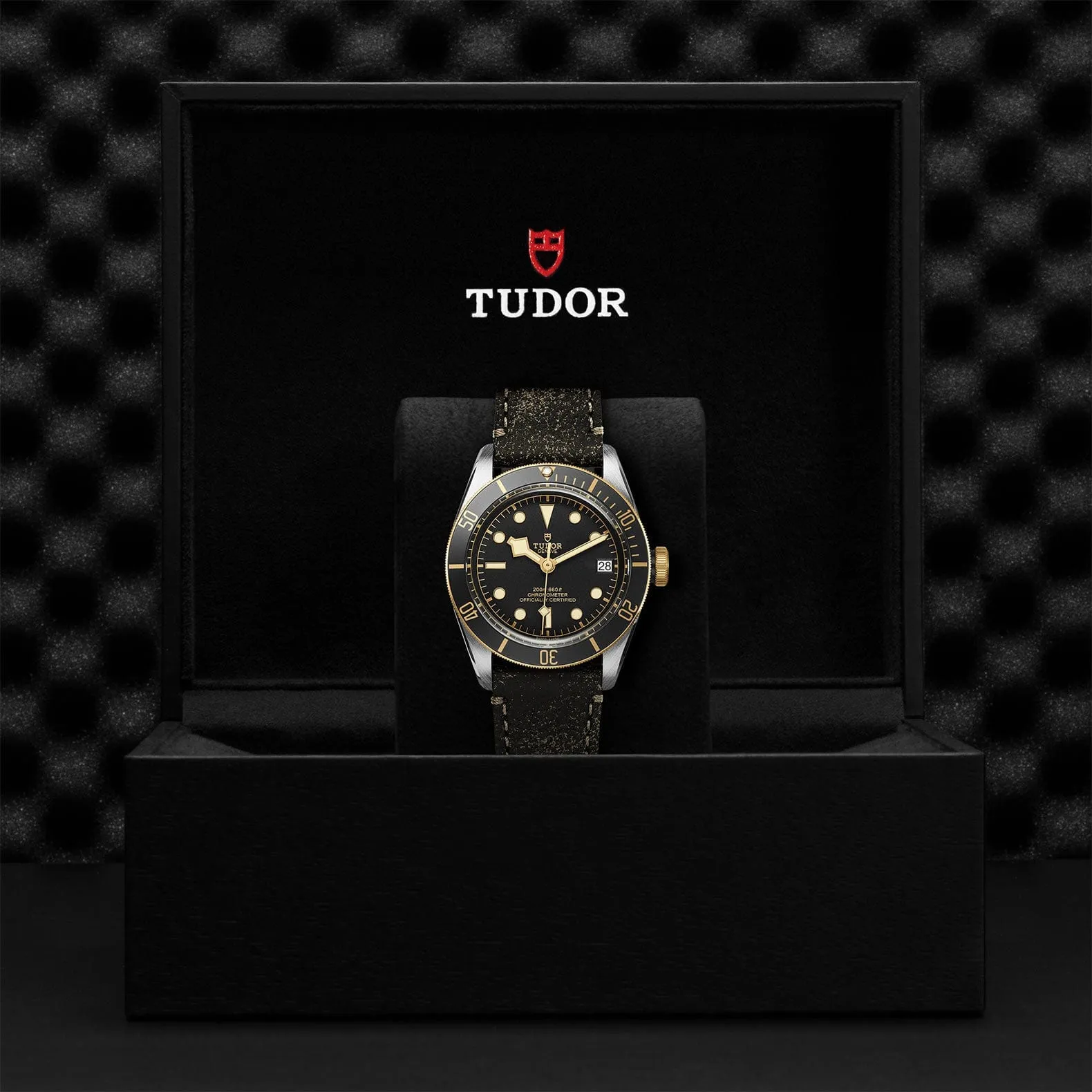 TUDOR Black Bay S&amp;G