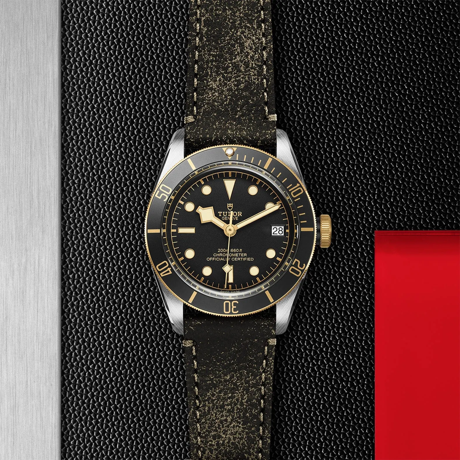 TUDOR Black Bay S&amp;G