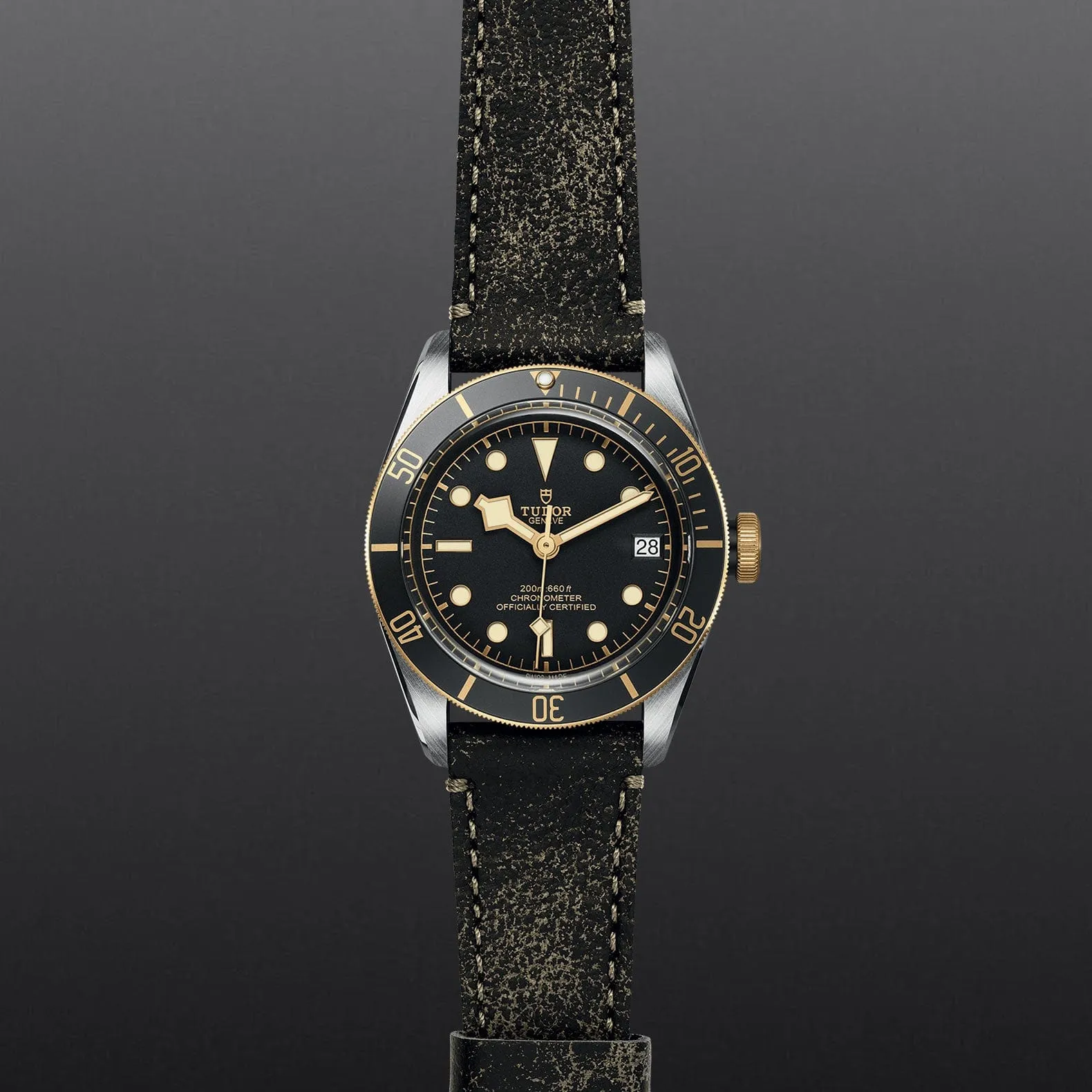 TUDOR Black Bay S&amp;G