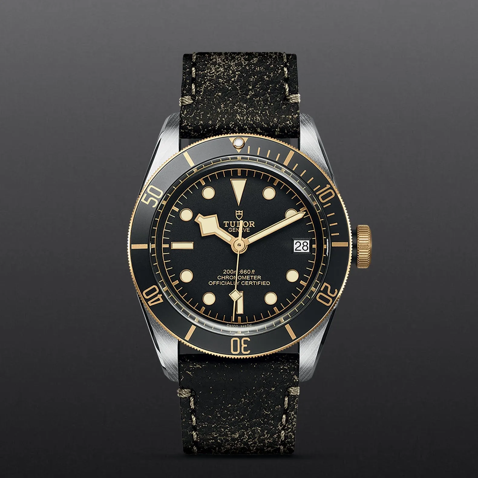 TUDOR Black Bay S&amp;G